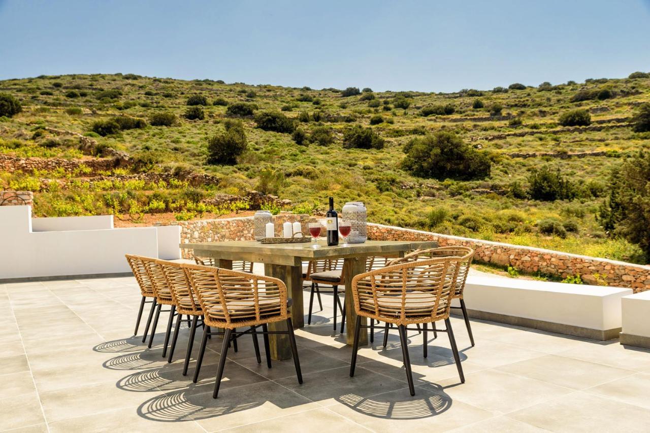 Paros Villa Blue Senses Alikí Buitenkant foto