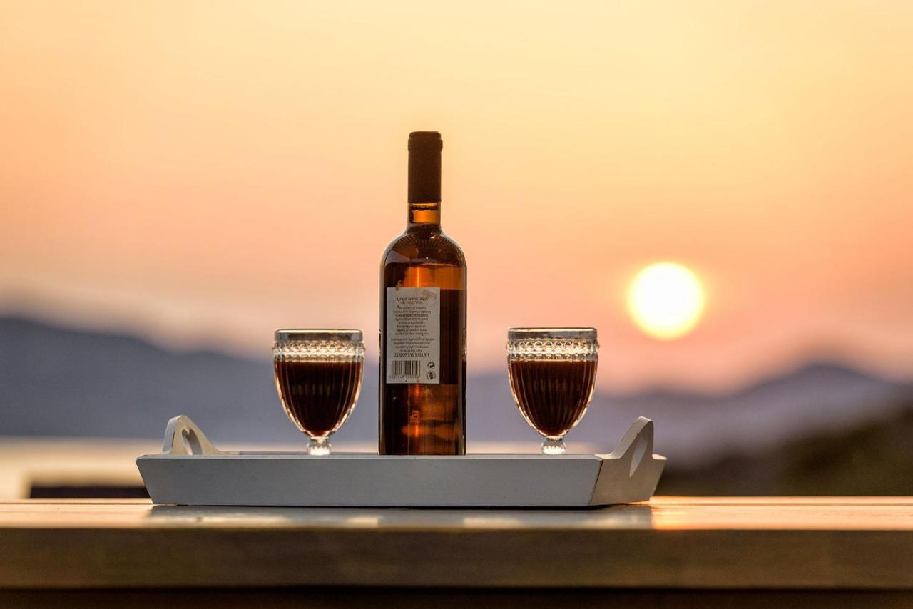 Paros Villa Blue Senses Alikí Buitenkant foto